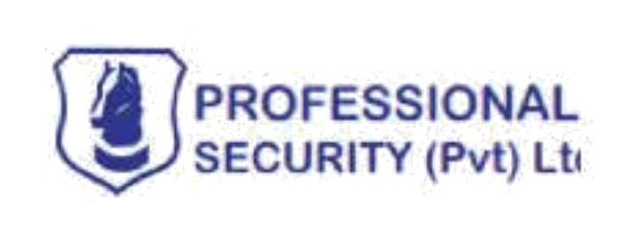 Professional Security